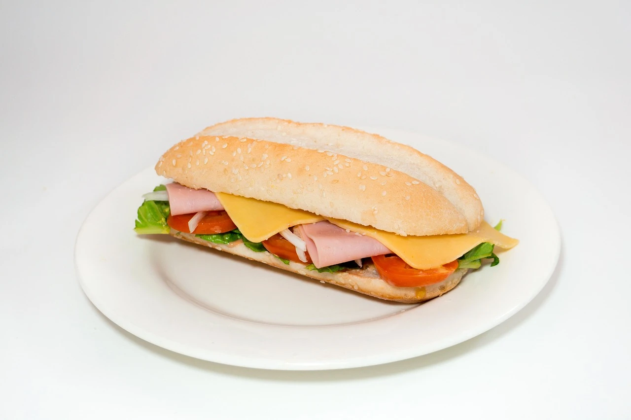 Panini Dinde Fumée et Fromage